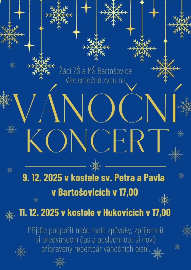 Vánoční koncert